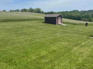 Marie M.'s grass cutting service result