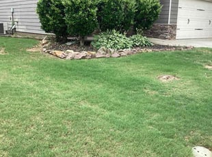 Dajari M.'s lawn service service result