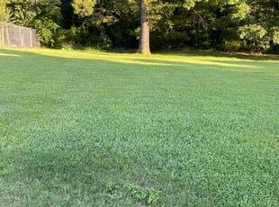 Jackie B.'s lawn service service result