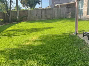 Nicolas C.'s lawn care services service result
