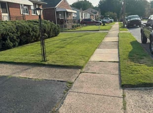 Virginia M.'s lawn maintenance service result