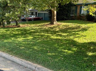 Jes T.'s landscaping services service result