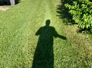 Nakia P.'s lawn service service result