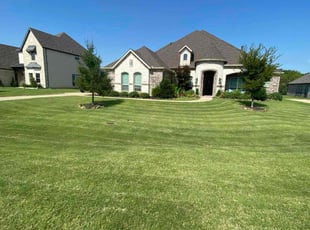 Mike G.'s turf care service result
