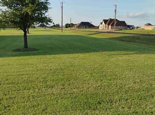 Wayne C.'s lawn maintenance service result