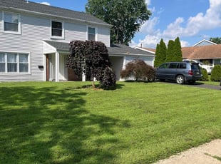 Mohamed E.'s turf maintenance service result