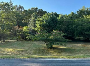 Barb S.'s grass maintenance service result