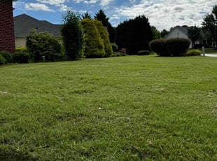 Sandy P.'s grass cutting service result