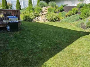 James S.'s grass cutting service result