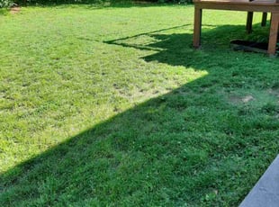 Kim S.'s lawn maintenance service result