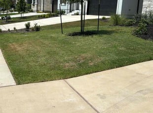 Rodney R.'s grass cutting service result