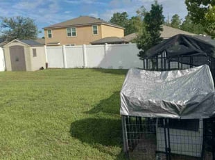 Shaun S.'s grass cutting service result