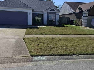 Neil B.'s grass maintenance service result