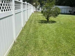 Adriana M.'s turf care service result