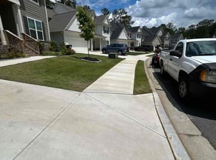 Earle D.'s turf care service result