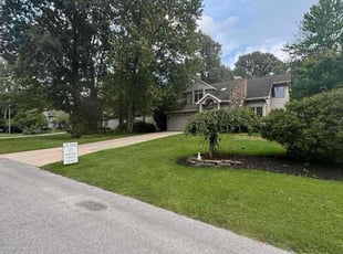 Randy P.'s grass cutting service result