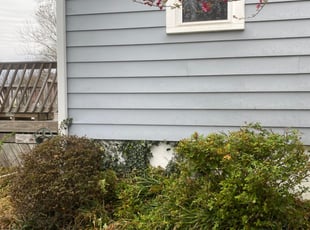 Stephen R.'s Bush Trimming service result