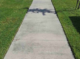 Kaitlyn S.'s lawn care services service result