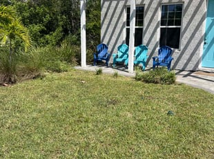 David M.'s turf maintenance service result