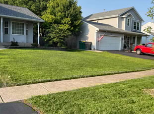 Xavier D.'s lawn care service result