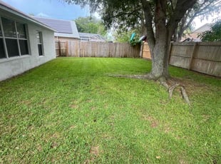 Jason F.'s lawn care service result