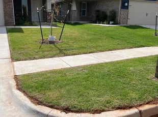 Matt J.'s lawn care services service result