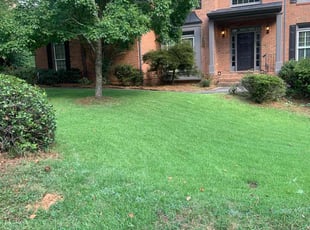 Mikaela Z.'s lawn maintenance service result