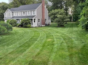 Allison L.'s lawn maintenance service result