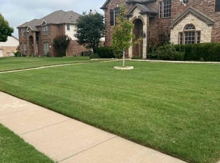 Andre G.'s lawn service service result