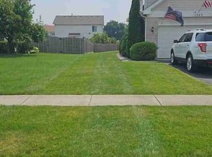 Rosetta J.'s turf care service result