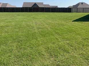 Delphine M.'s lawn service service result