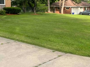 Ursula C.'s residential landscaping service result
