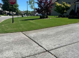 Dan M.'s turf maintenance service result