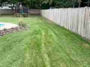 Jessie B.'s turf maintenance service result