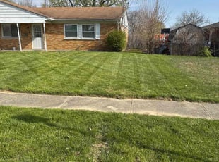 Brennan R.'s lawn care service result