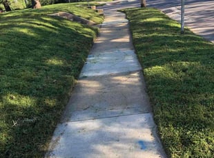 Naomi C.'s grass cutting service result