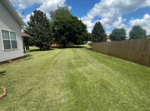 Wallace M.'s lawn care service result