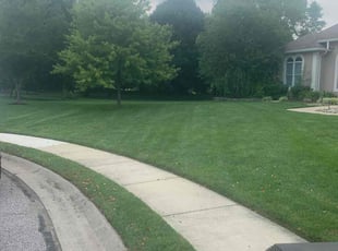 Lisa M.'s lawn service service result