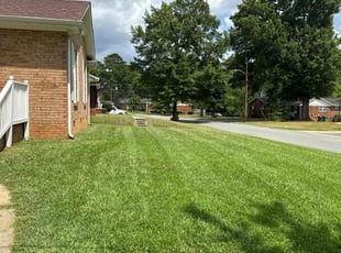 Buba J.'s Long Grass Cleanup service result
