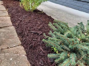 Janet H.'s Mulching service result