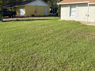 Trent K.'s grass maintenance service result