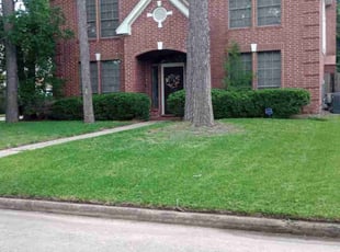 Arielle D.'s lawn care services service result