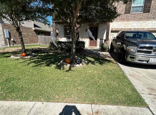 David T.'s lawn maintenance service result