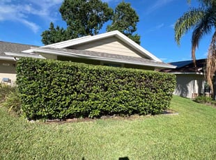 Alison P.'s Bush Trimming service result