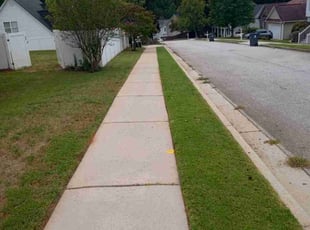Vanessa P.'s grass maintenance service result