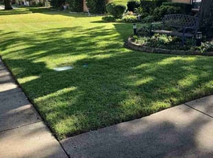 Kenneth J.'s Leaf Removal service result