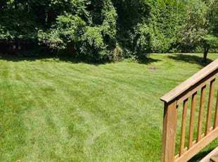 Briana D.'s lawn care service result