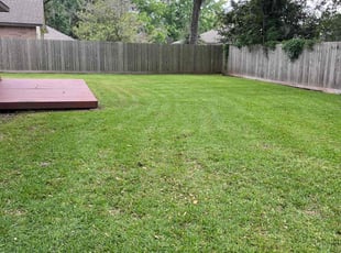 Juanita M.'s landscaping services service result