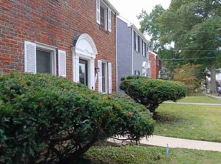 Jeremy K.'s Bush Trimming service result