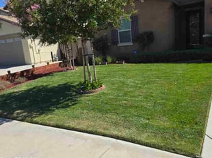 Brenda B.'s turf maintenance service result